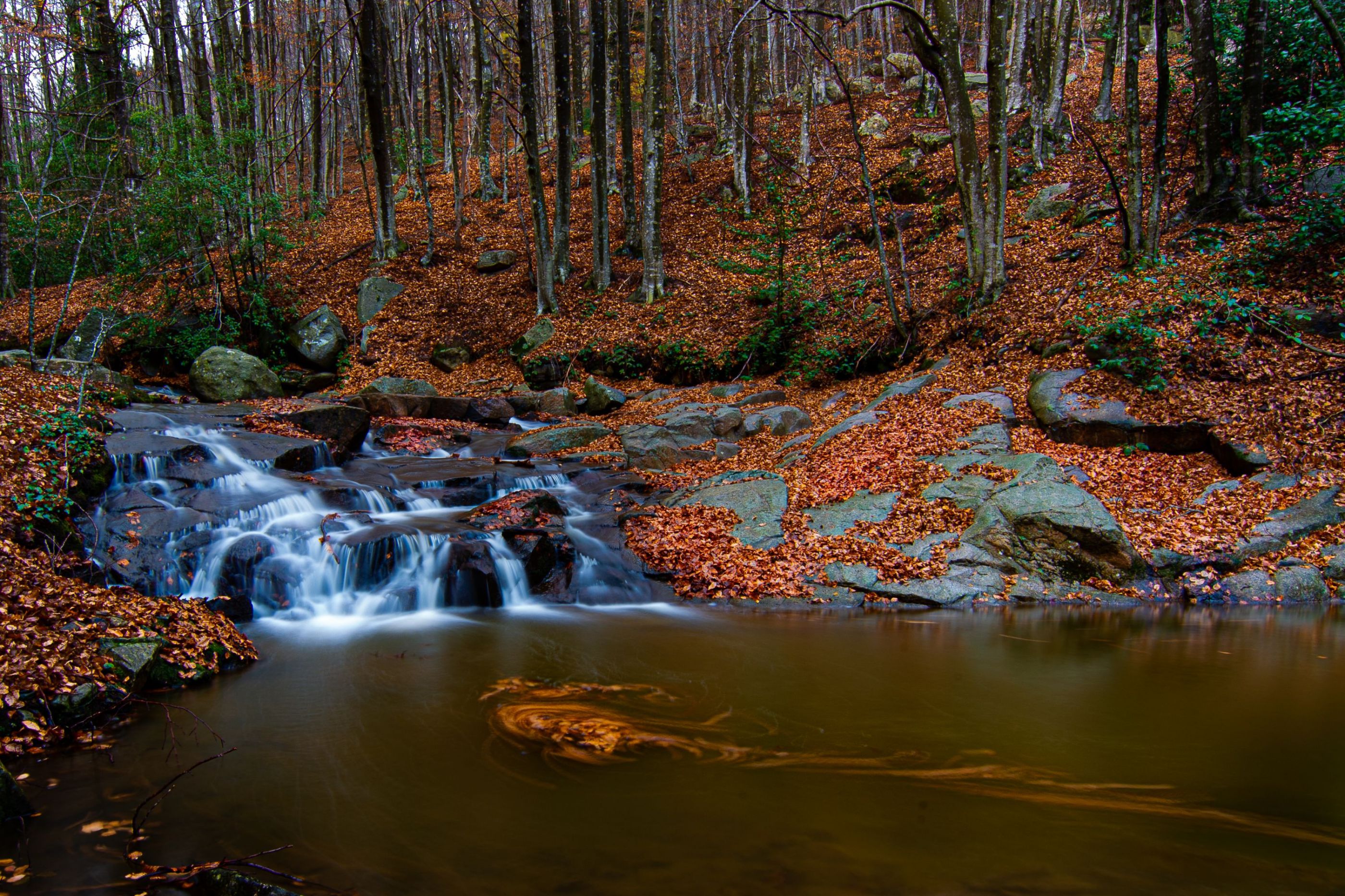 MONTSENY  INSTANTS   11-2020-1915